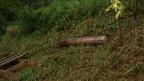 IMG_20180818_094207682.jpg